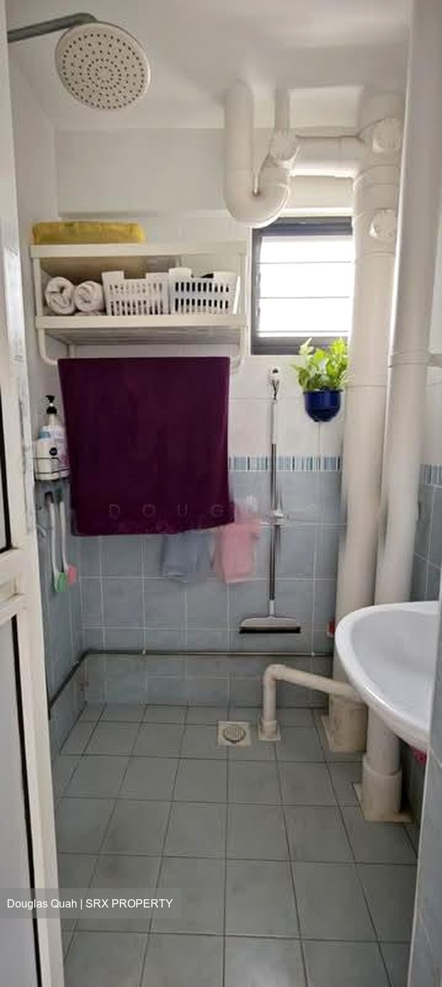 Blk 533 Upper Cross Street (Central Area), HDB 3 Rooms #574533231